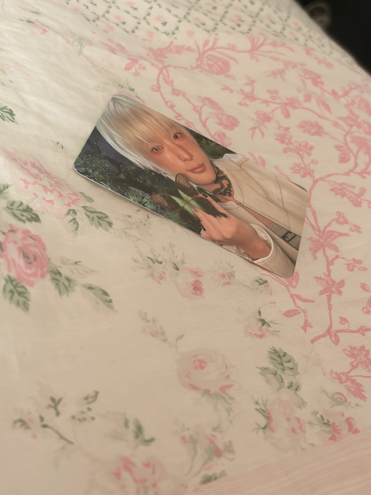 &TEAM Harua  &TEAM - Harua  - Back to Life  Album album photocard roar version B version listing photo 3