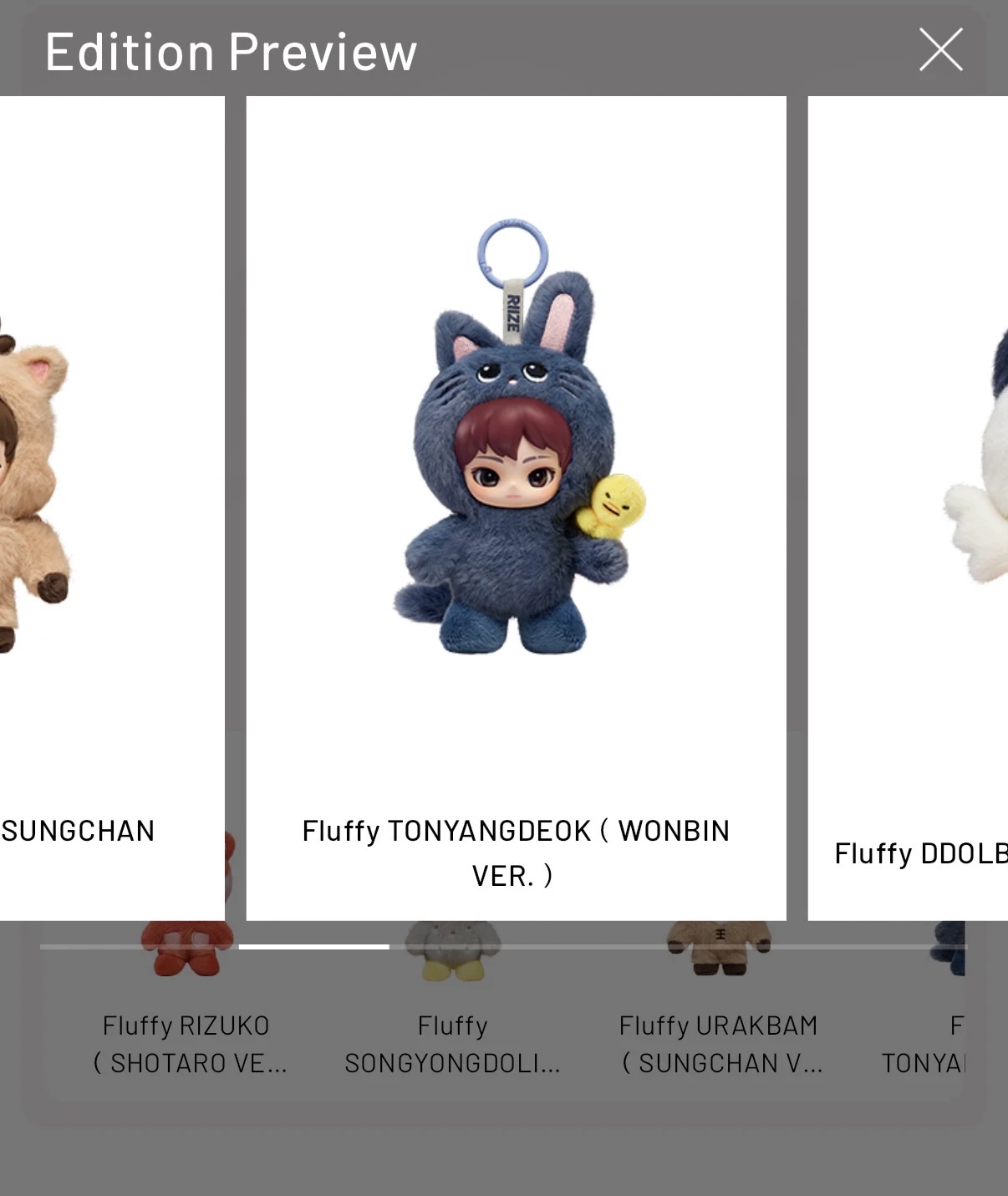 RIIZE  Wonbin RIIZE  - Wonbin - RIIZE X POP MART Fluffy Club Other brand collaboration keyring merch photocard listing photo 4