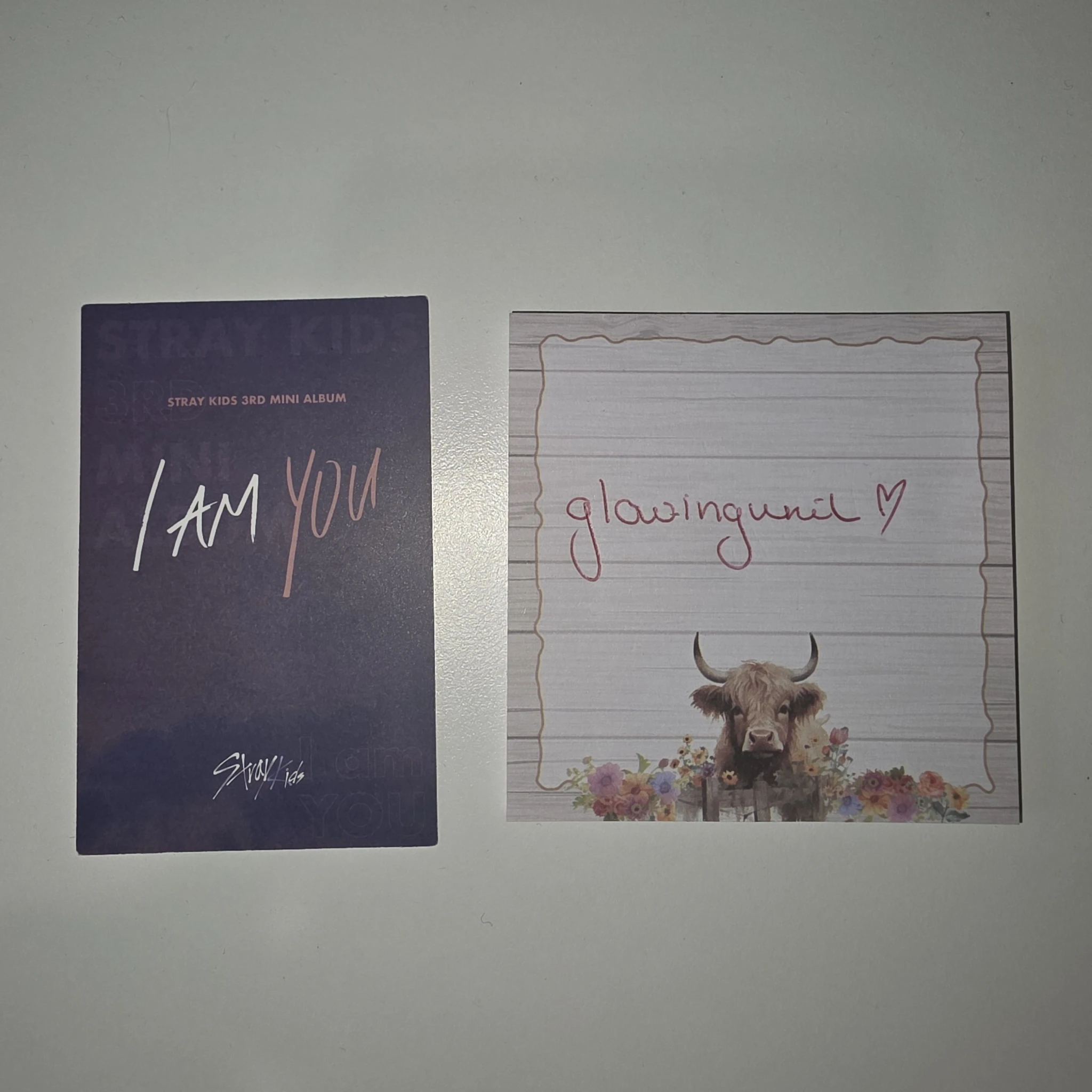 Stray Kids Seungmin Stray Kids - Seungmin - I am YOU Album album photocard pre-order benefit first press only listing photo 4