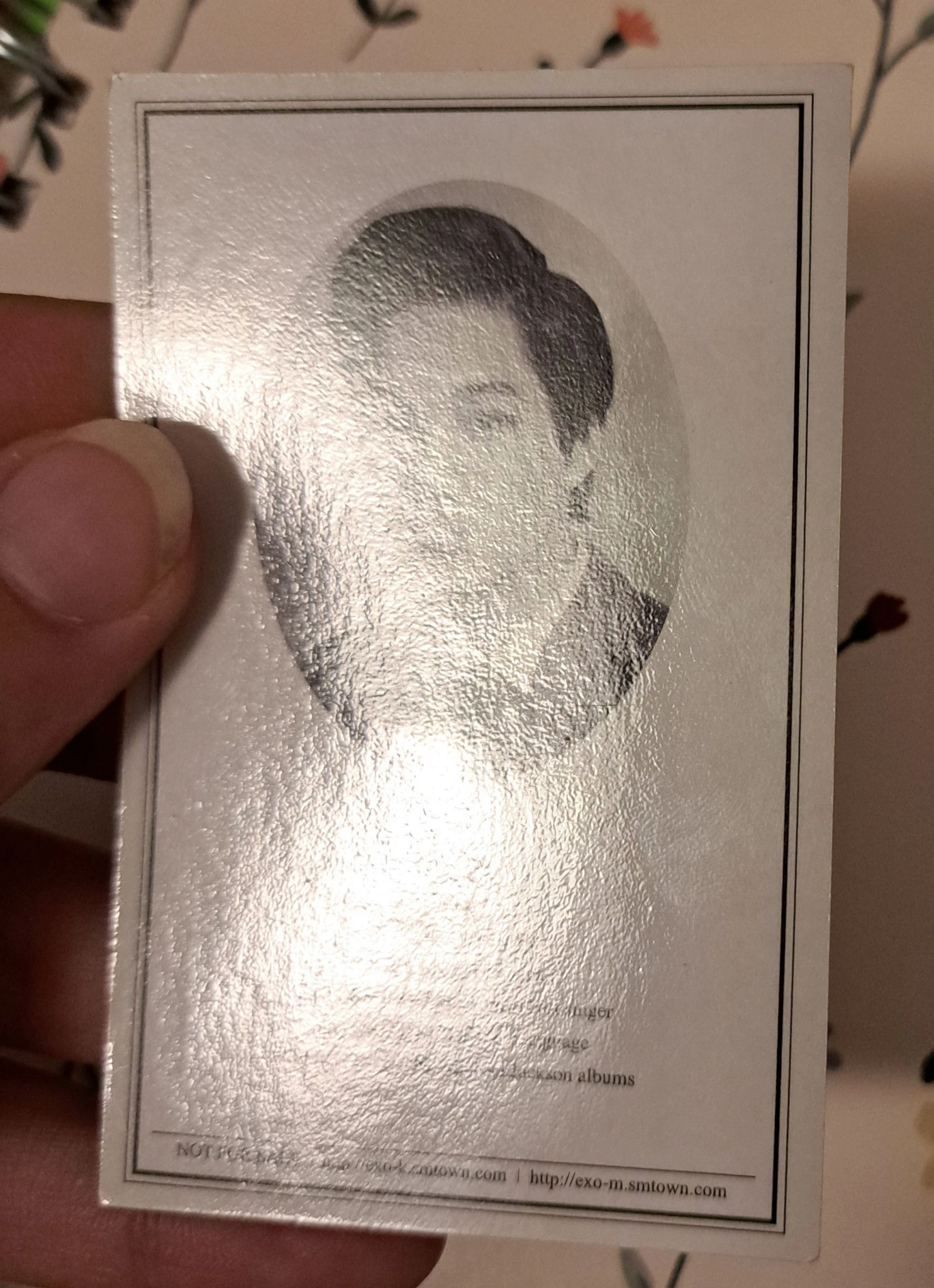EXO Kai Kai - XOXO listing photo 4