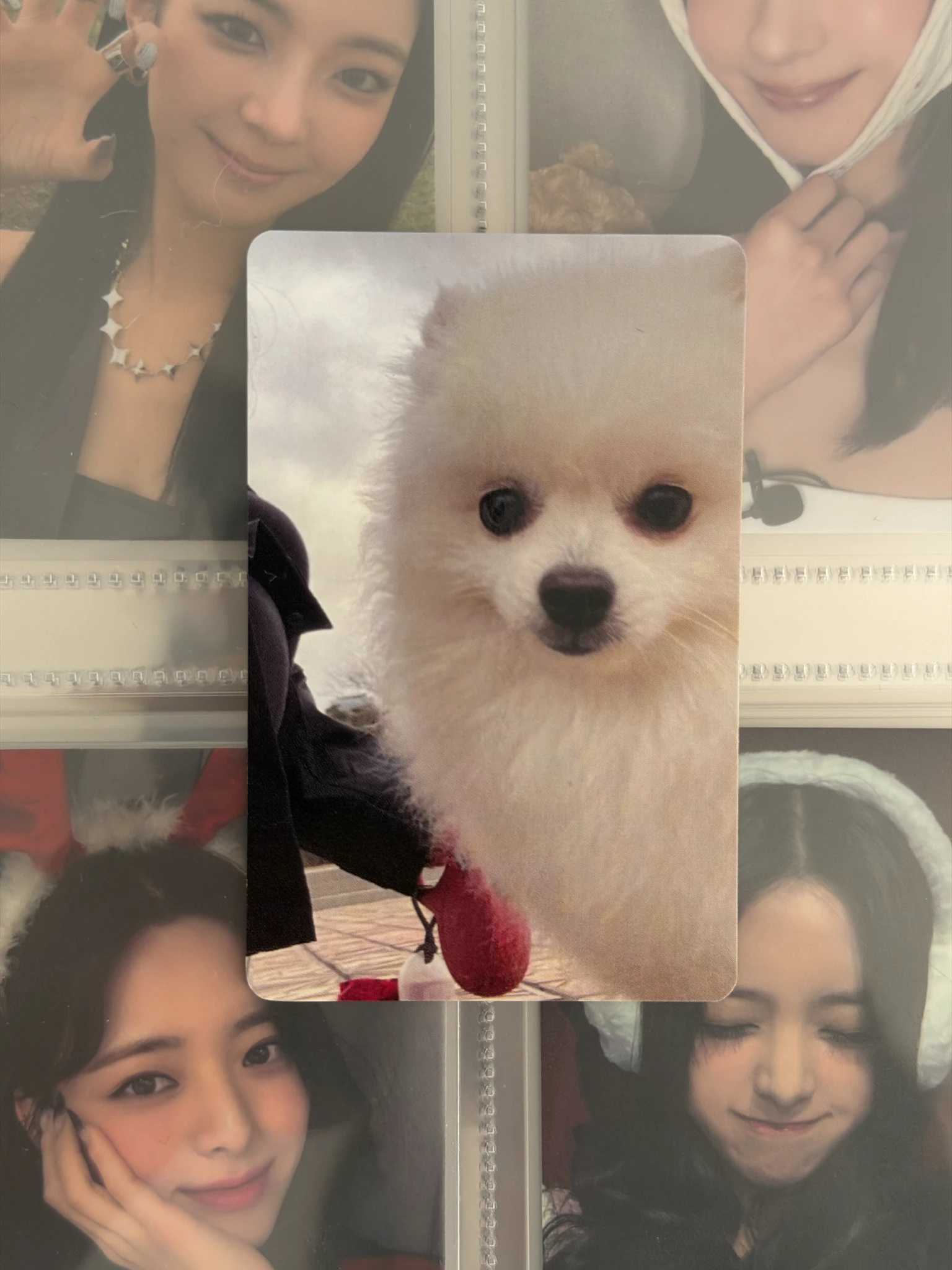 ITZY Lia ITZY - Lia - Cheshire Album withmuu round 7 double-sided video call (fancall) listing photo 5
