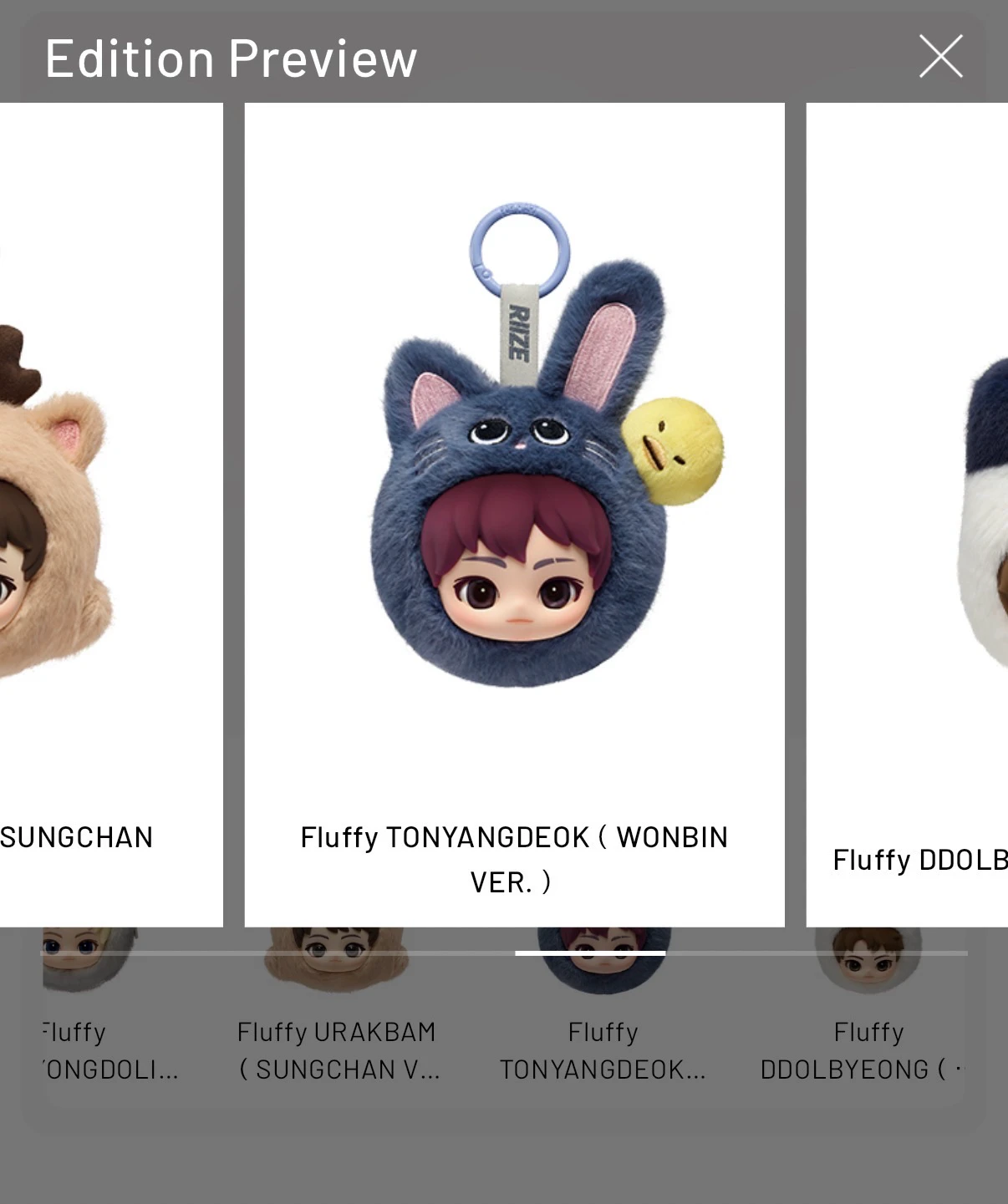 RIIZE  Wonbin RIIZE  - Wonbin - RIIZE X POP MART Fluffy Club Other brand collaboration keyring merch photocard listing photo 5