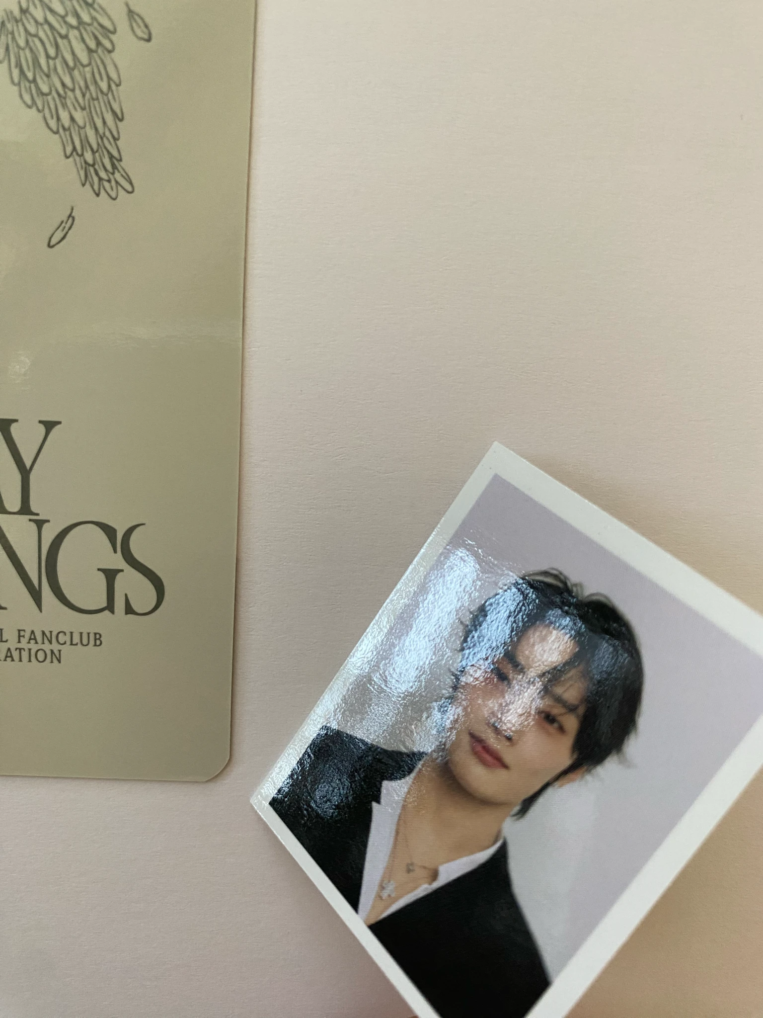 Stray Kids I.N Stray Kids - I.N - STAY With Your Wings-6th Fanclub Other photocard set listing photo 5