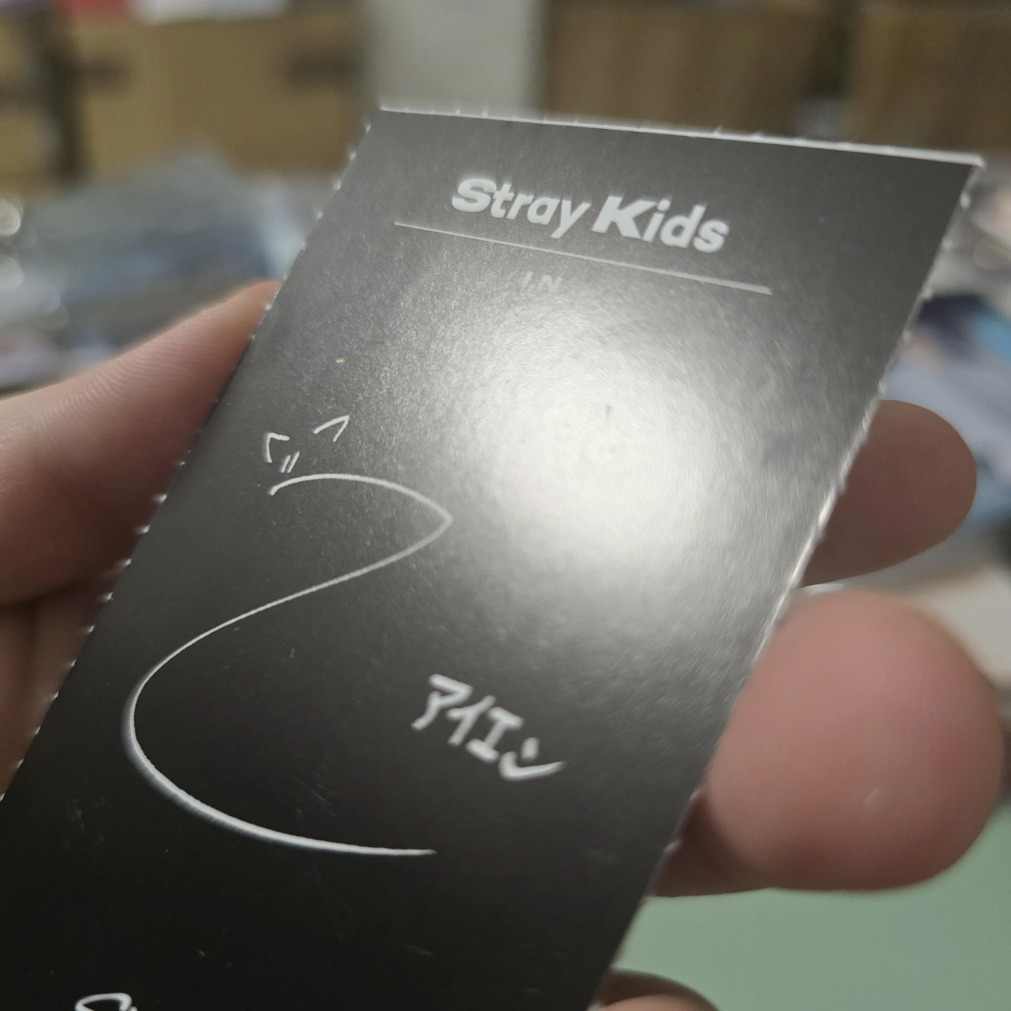 Stray Kids I.N Stray Kids - I.N - Mini Magazine Other photocard set mini magazine magazine photocard bad image - replace non-standard size listing photo 5