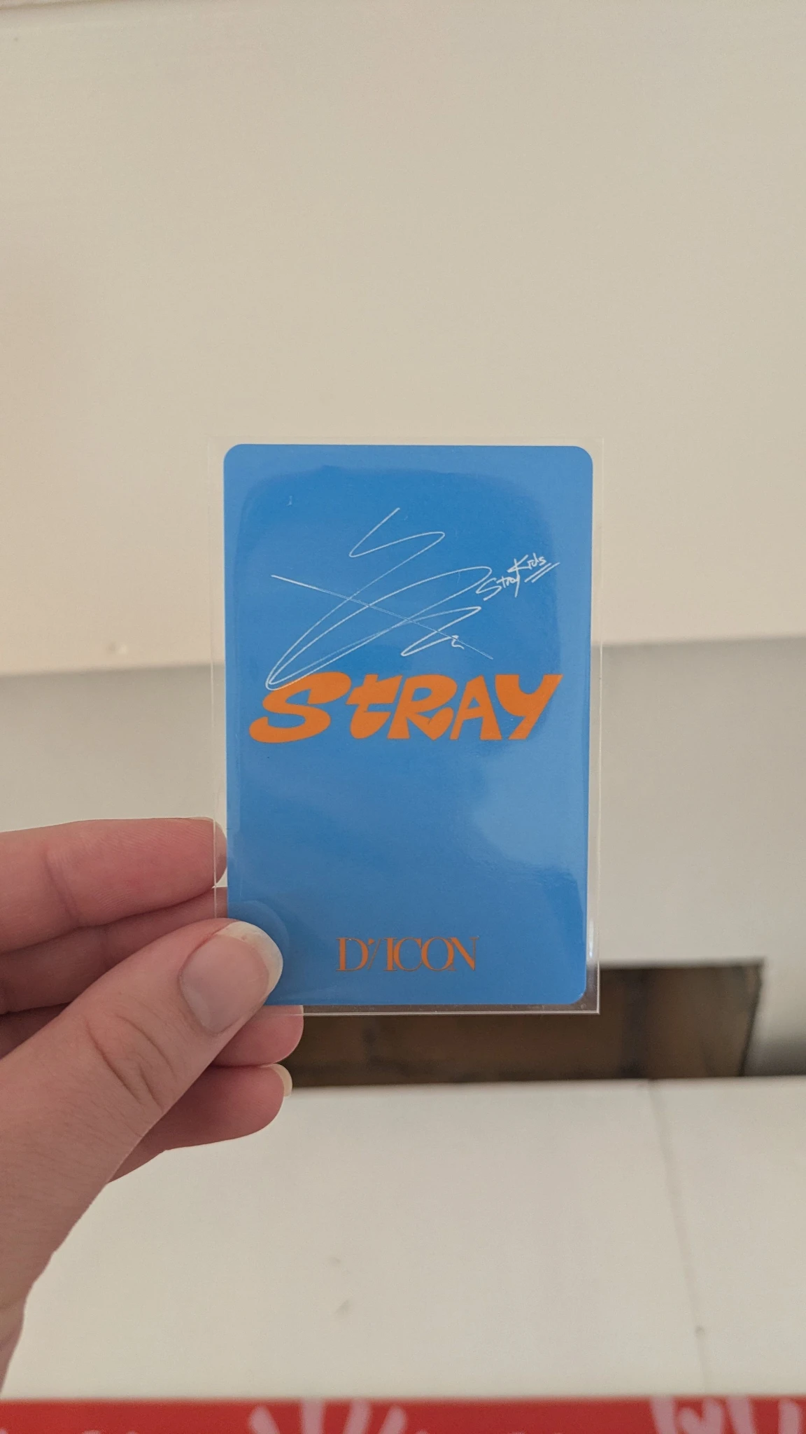 Stray Kids Hyunjin Stray Kids - Hyunjin - DICON D'FESTA 2022 Photobook Other dicon mini photobook version listing photo 6