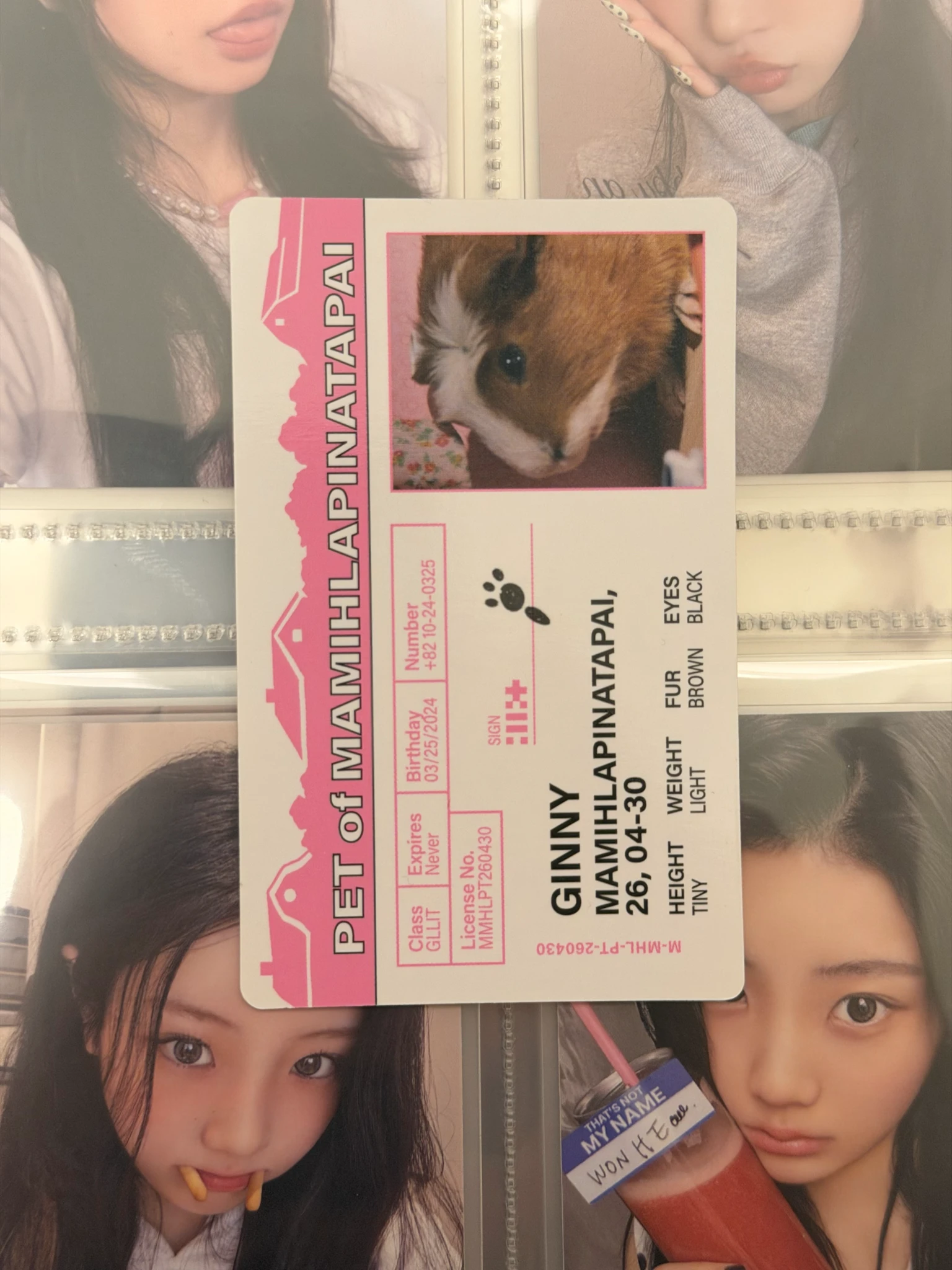 ILLIT Wonhee ILLIT - Wonhee - MAMIHLAPINATAPAI Album paw paw version listing photo 6