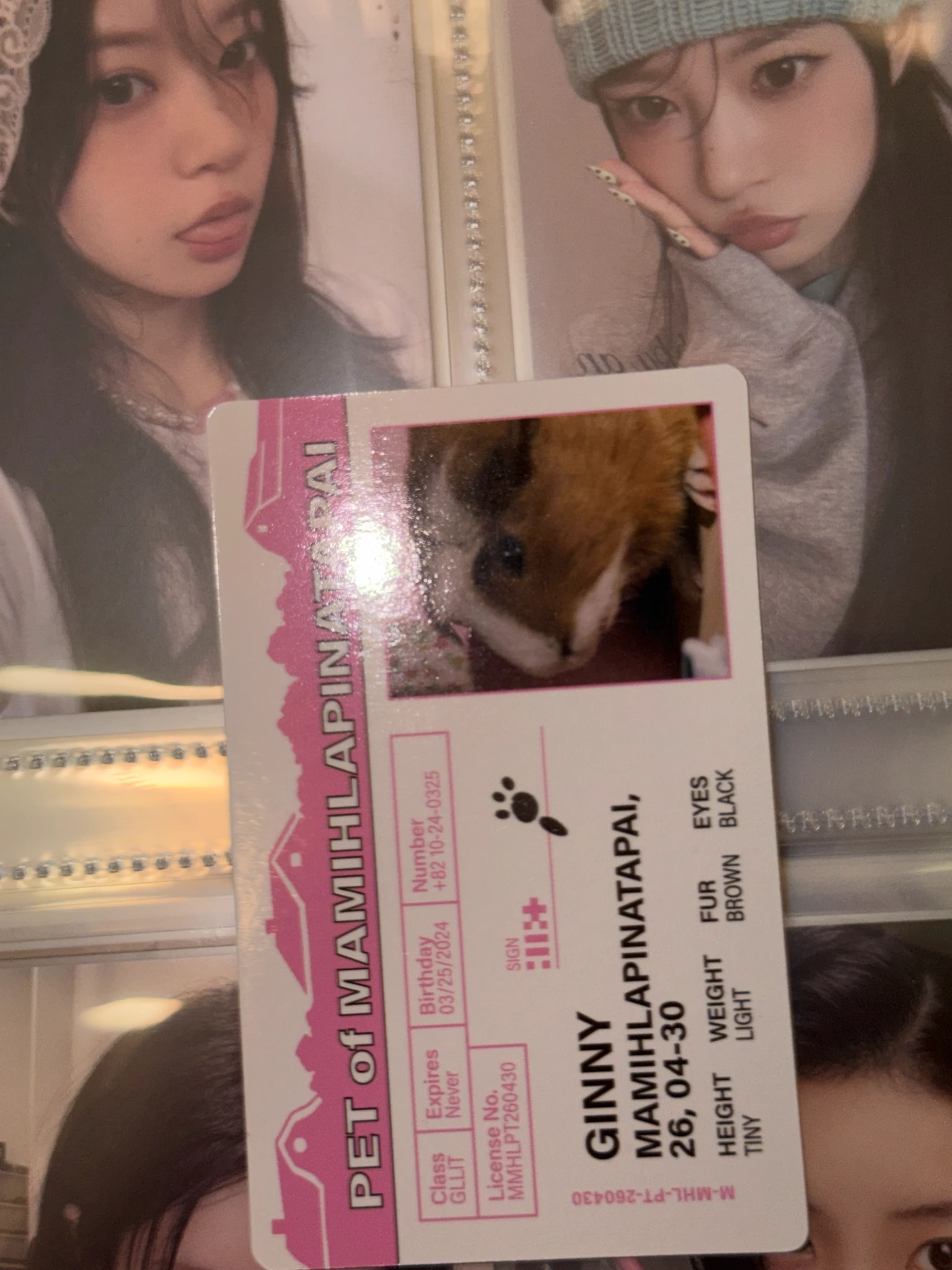 ILLIT Wonhee ILLIT - Wonhee - MAMIHLAPINATAPAI Album paw paw version listing photo 7