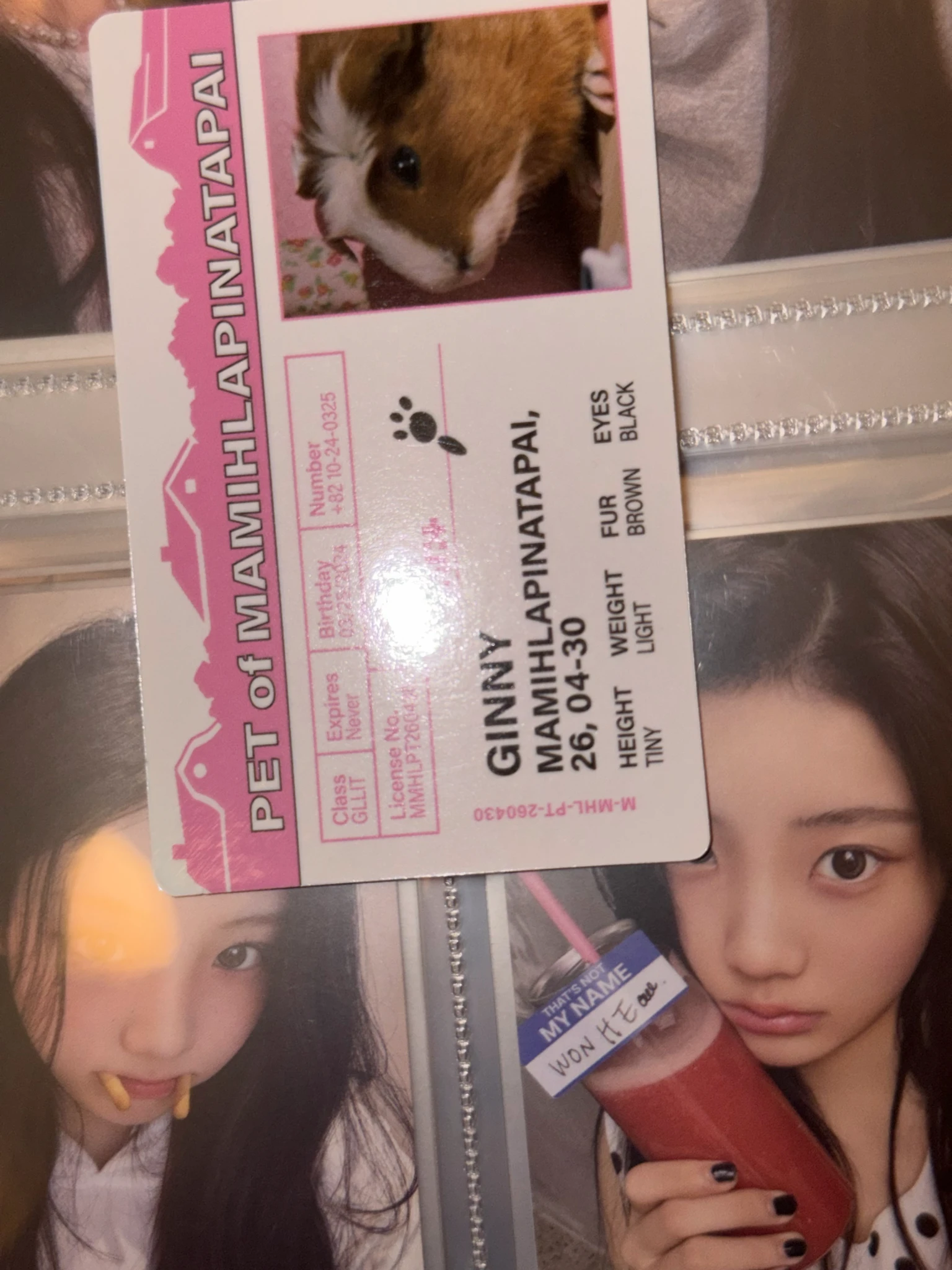 ILLIT Wonhee ILLIT - Wonhee - MAMIHLAPINATAPAI Album paw paw version listing photo 8