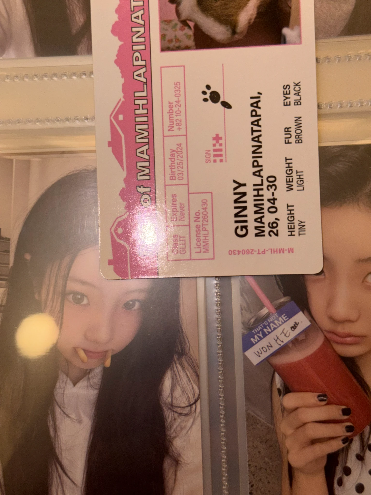 ILLIT Wonhee ILLIT - Wonhee - MAMIHLAPINATAPAI Album paw paw version listing photo 9
