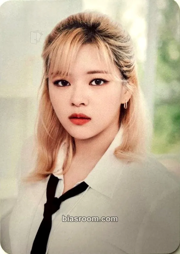 Jeongyeon 2023 Japan Season's Greetings: SECRET LIFE @OFFICE Photocard - TWICE - TWICE K-pop photocard