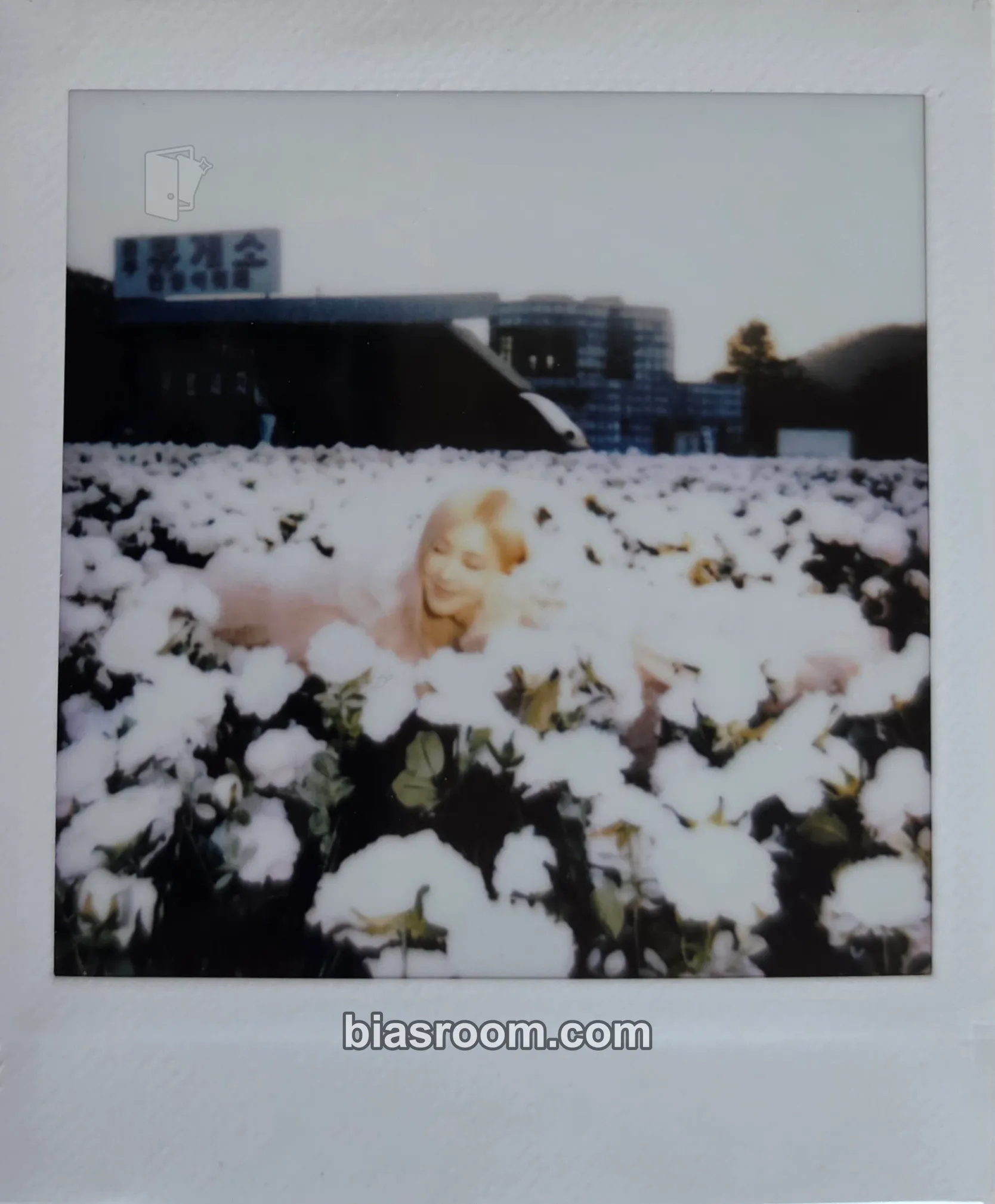 Rosé Rosé -R- Photobook Special Edition Photocard - BLACKPINK - BLACKPINK K-pop photocard