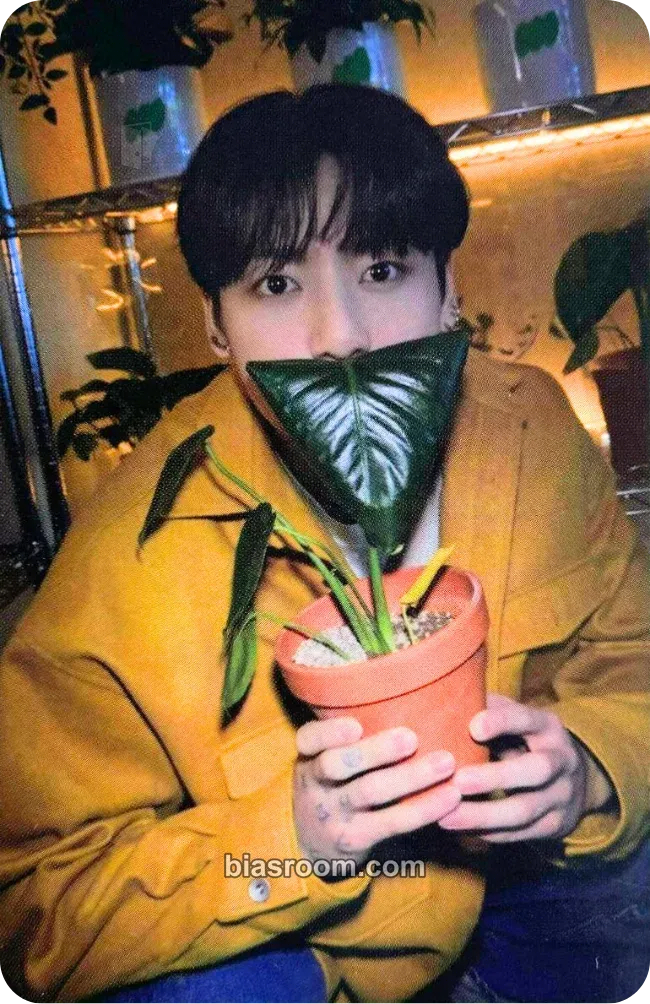 Jungkook Permission to Dance On Stage - Live Photocard - BTS - BTS K-pop photocard