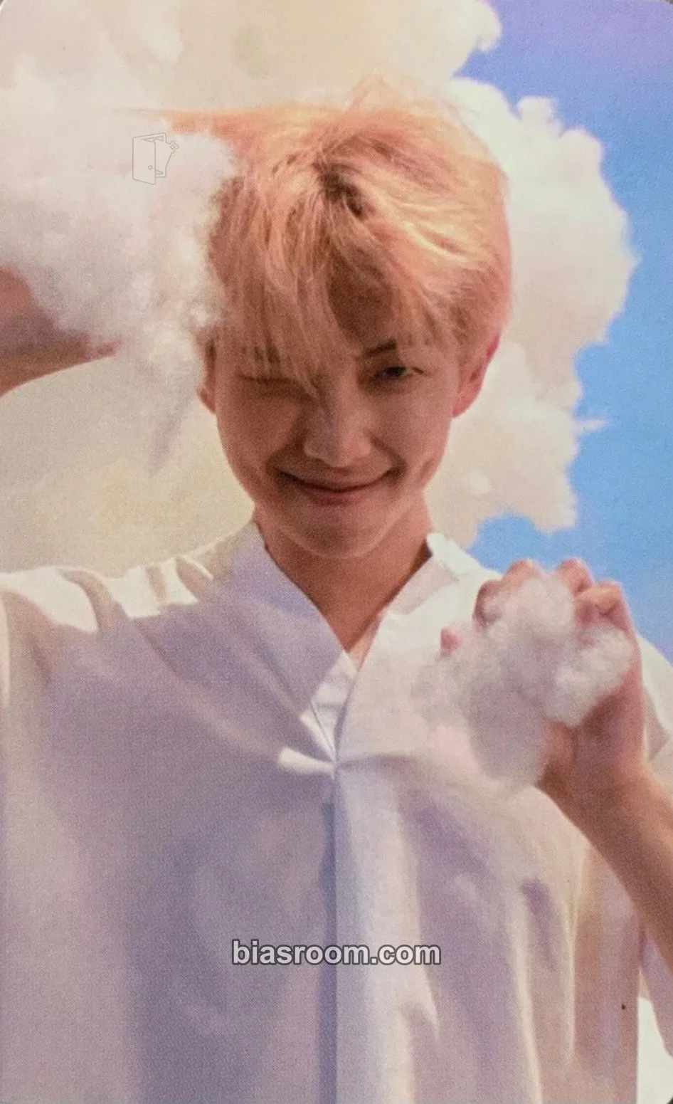 RM Love Yourself: Her Photocard - BTS - BTS K-pop photocard