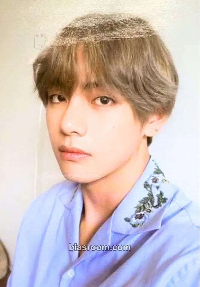 V Love Yourself: Her Photocard - BTS - BTS K-pop photocard