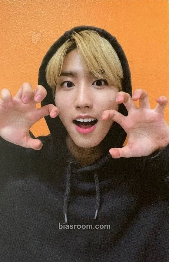 HAN GO LIVE Photocard - Stray Kids - Stray Kids K-pop photocard