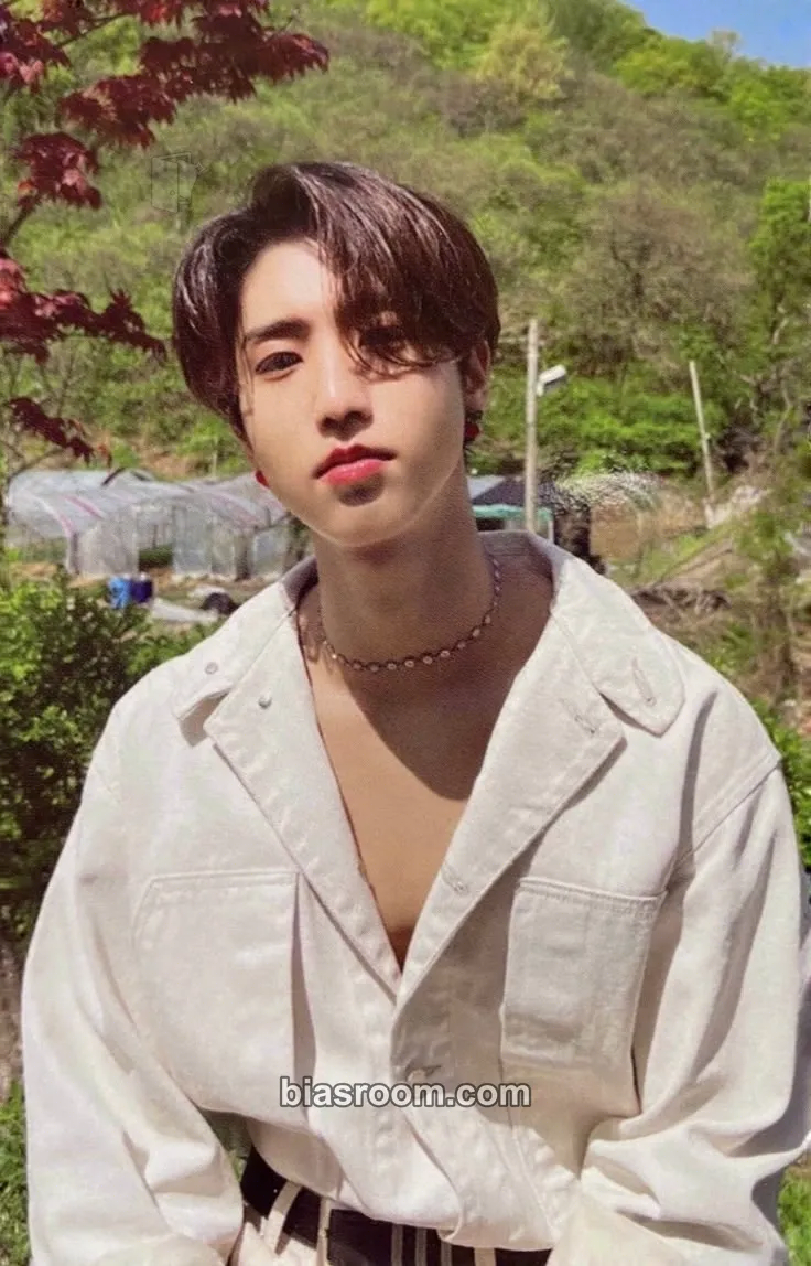 HAN Maxident Photocard - Stray Kids - Stray Kids K-pop photocard