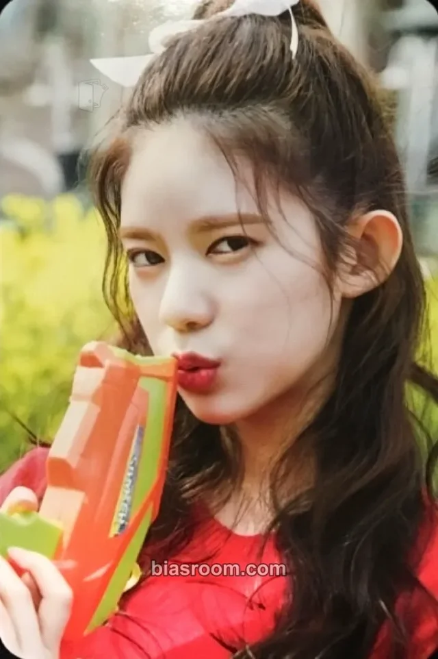 MOMOLAND - Daisy - Wonderful Love Album album photocard kit photocard