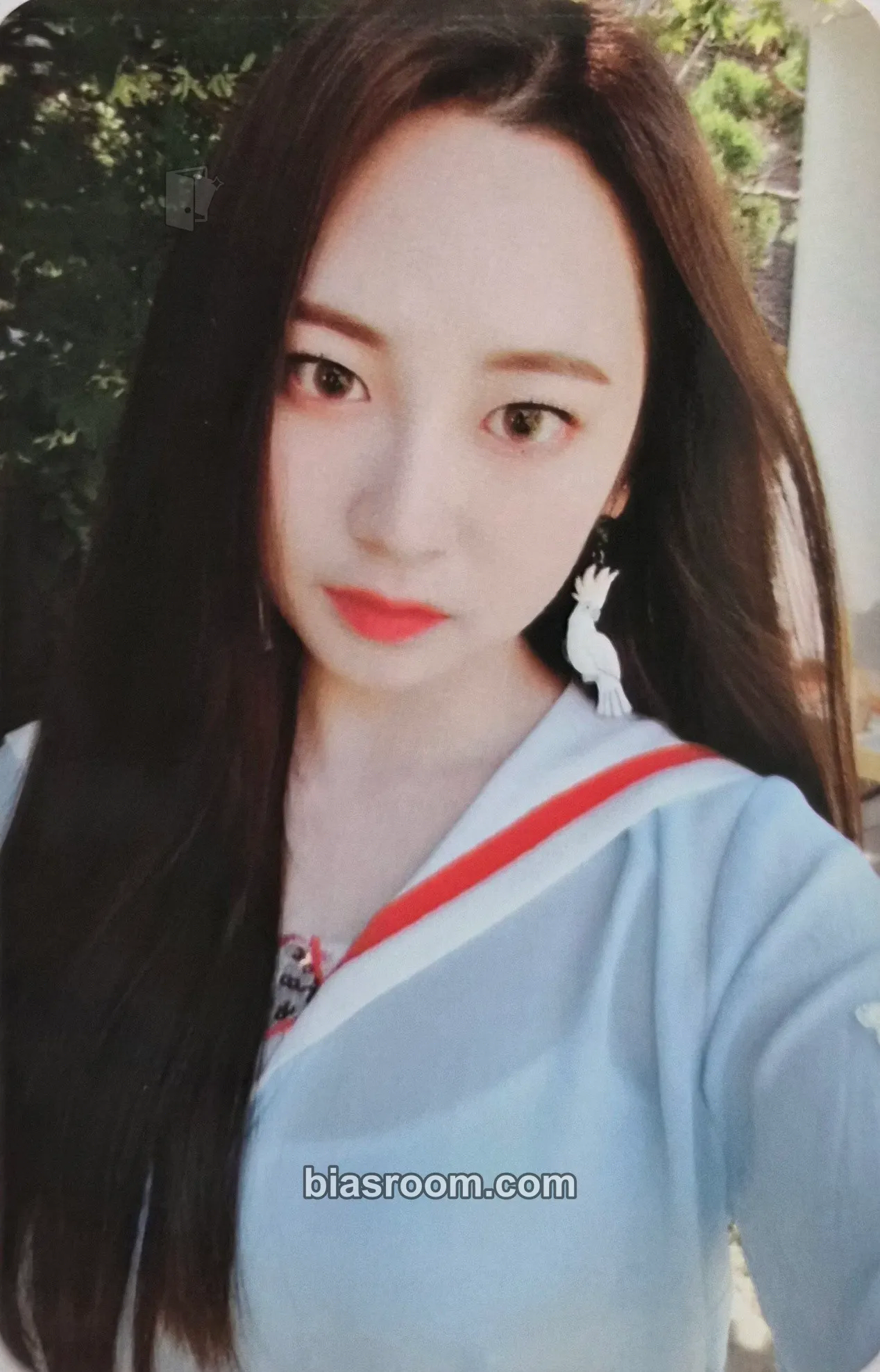 Taeha Freeze! Photocard - MOMOLAND – MOMOLAND K-Pop-Photocard
