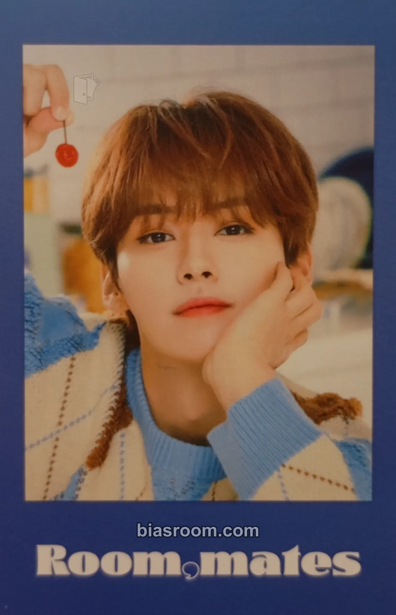 Lee Know 2022 Season's Greetings - Room,mates Photocard - Stray Kids - Stray Kids K-pop photocard