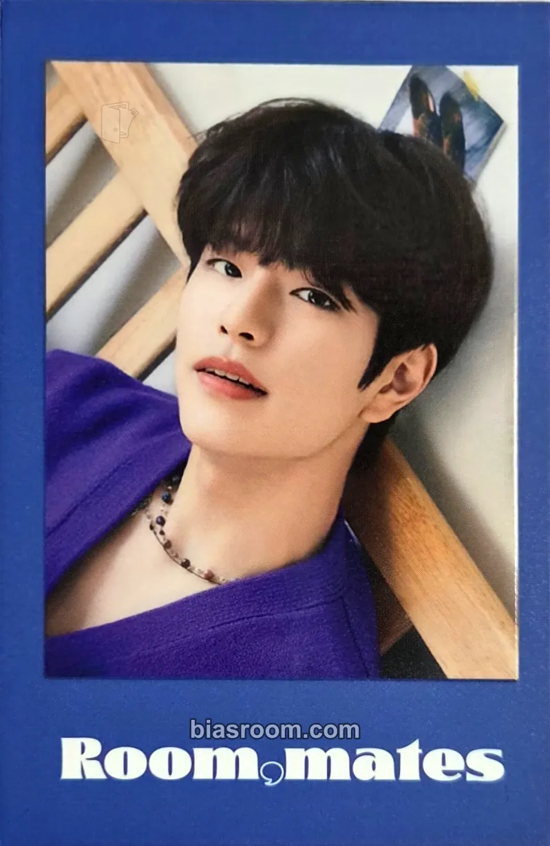 Seungmin 2022 Season's Greetings - Room,mates Photocard - Stray Kids - Stray Kids K-pop photocard