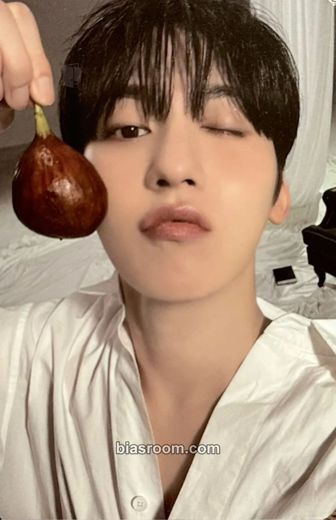 Keonhee MALUS Photocard - ONEUS - ONEUS K-pop photocard