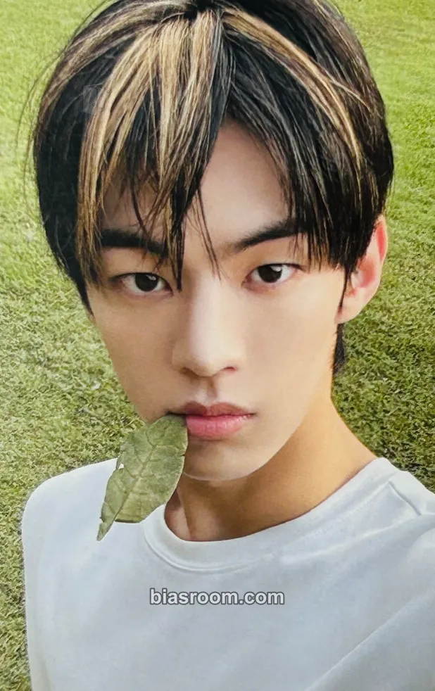 Dohoon SUMMER BEAT! Photocard - TWS - TWS K-pop photocard