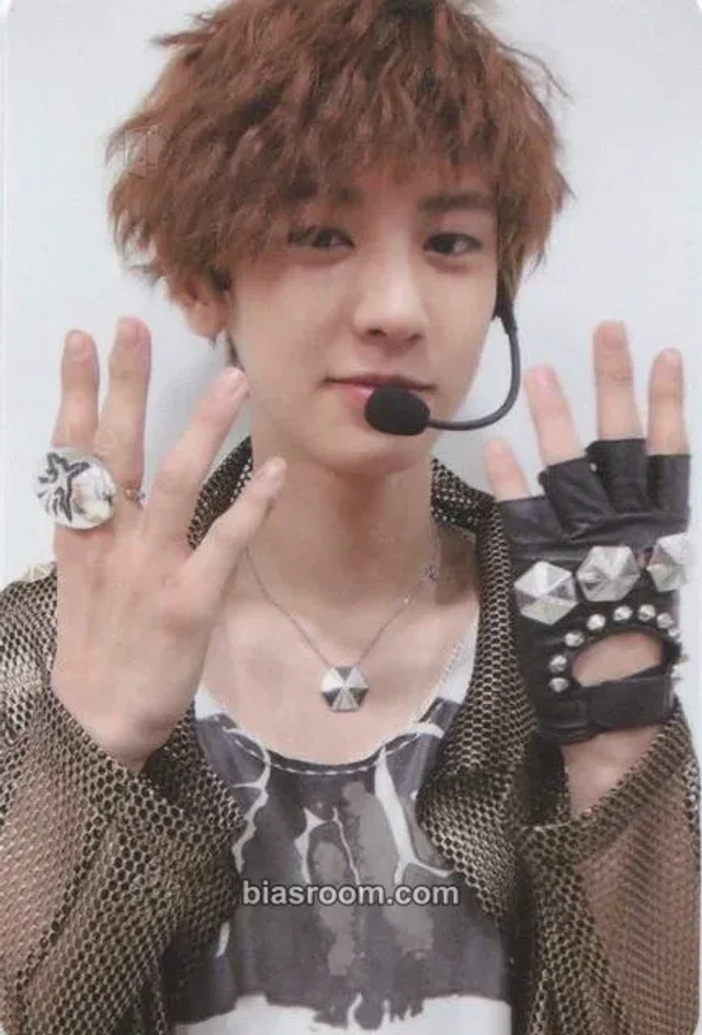 Chanyeol - MAMA (Ver.B)