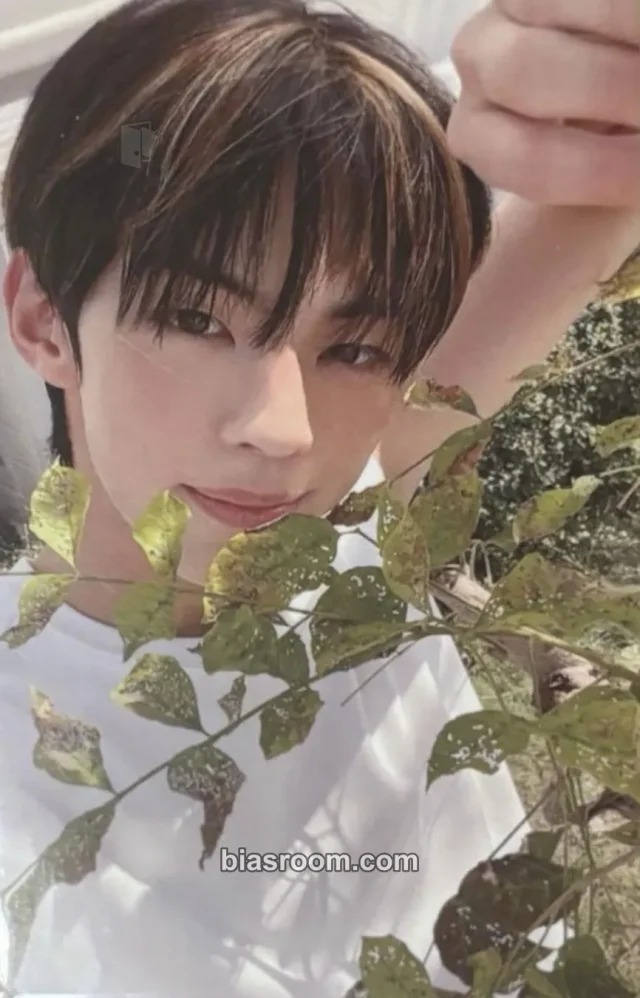 TWS - Dohoon - SUMMER BEAT! Album Universal music store pre-order benefit