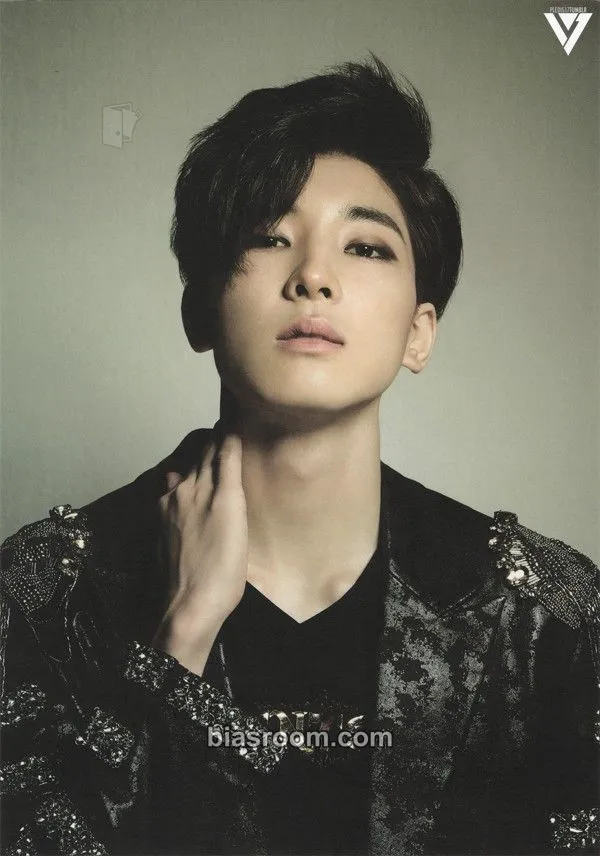 Wonwoo 17 CARAT Photocard - SEVENTEEN - SEVENTEEN K-pop photocard