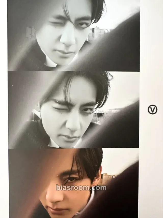 BTS - V - FRI(END)S Album merch postcard
