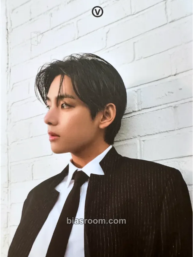 BTS - V - FRI(END)S Album merch postcard