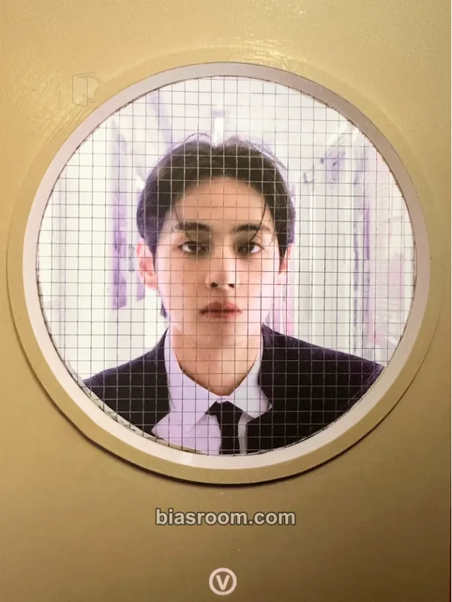 BTS - V - FRI(END)S Album merch postcard