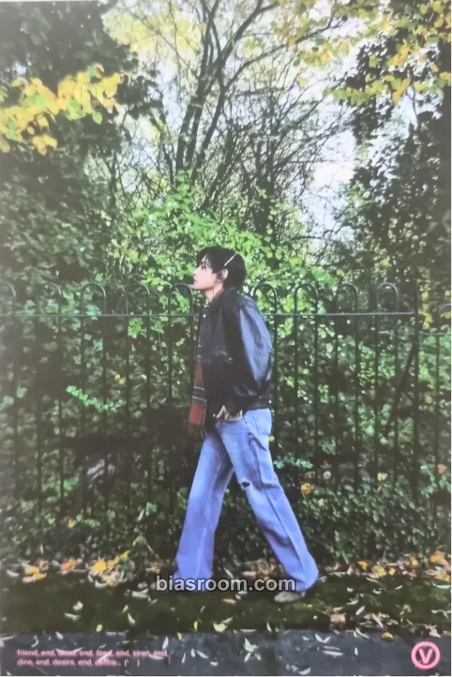 BTS - V - FRI(END)S Album merch postcard