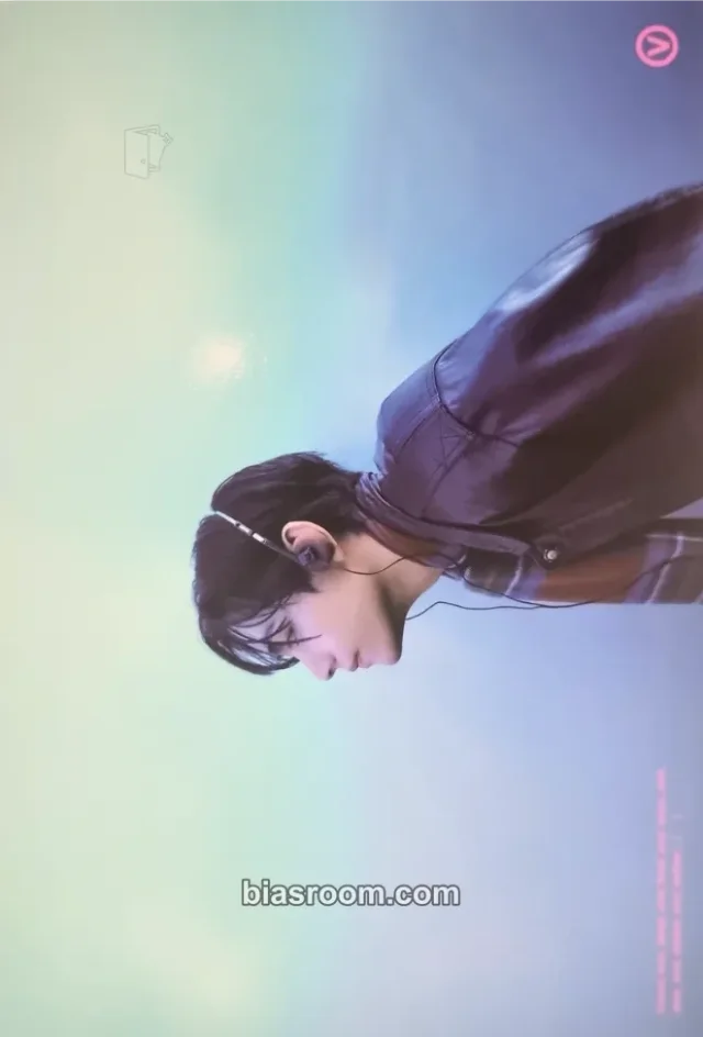BTS - V - FRI(END)S Album merch postcard
