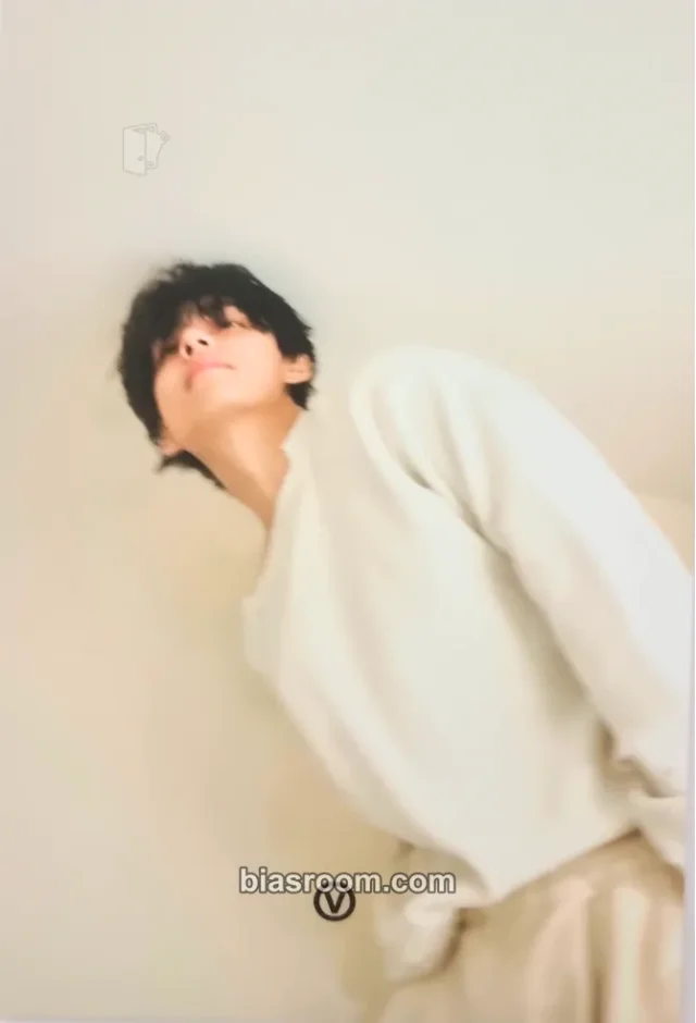 BTS - V - FRI(END)S Album merch postcard