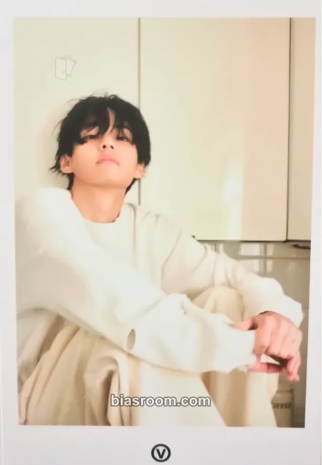 BTS - V - FRI(END)S Album merch postcard