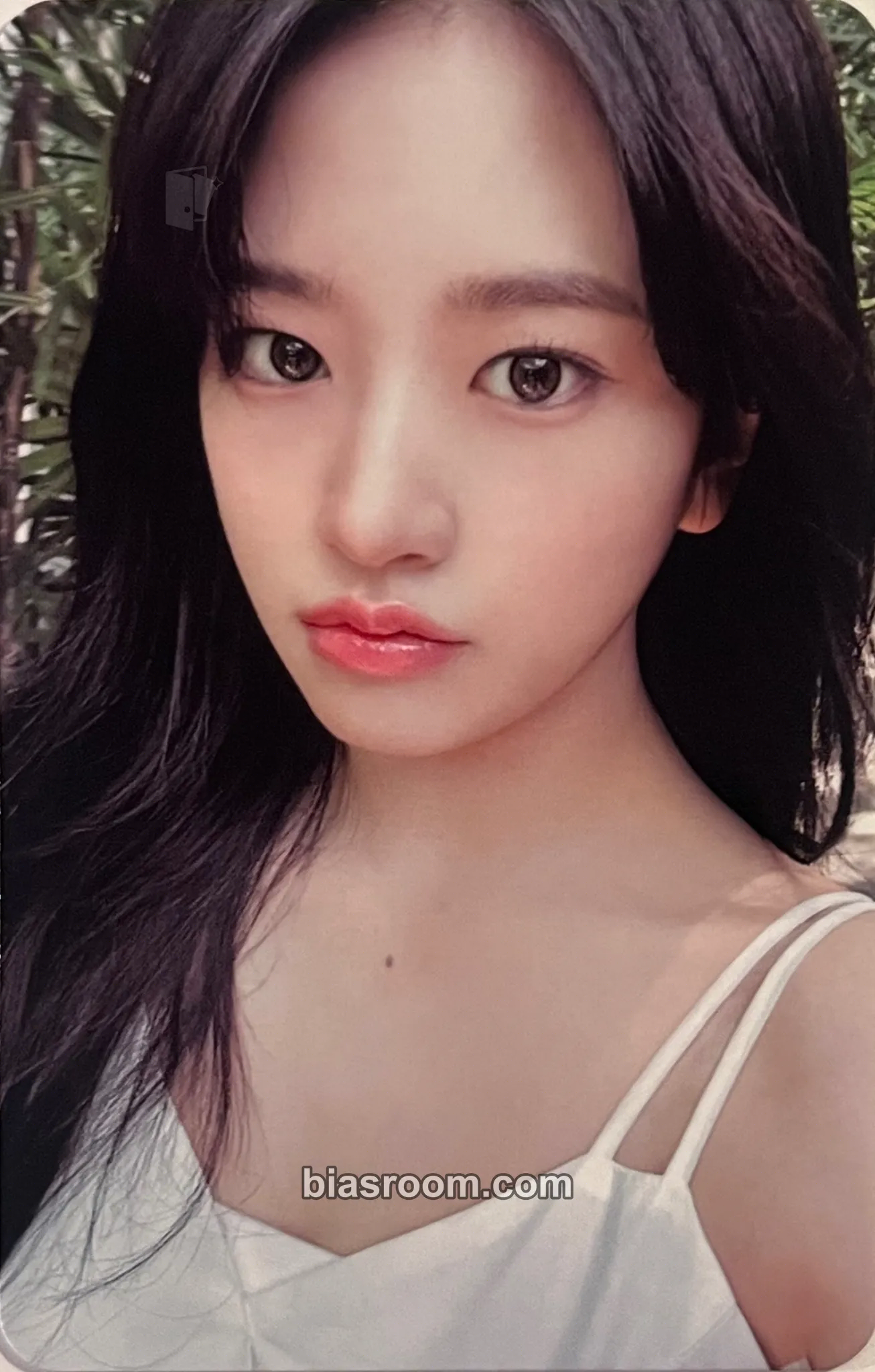 Yujin A DREAMY DAY Photocard - IVE - IVE K-pop photocard