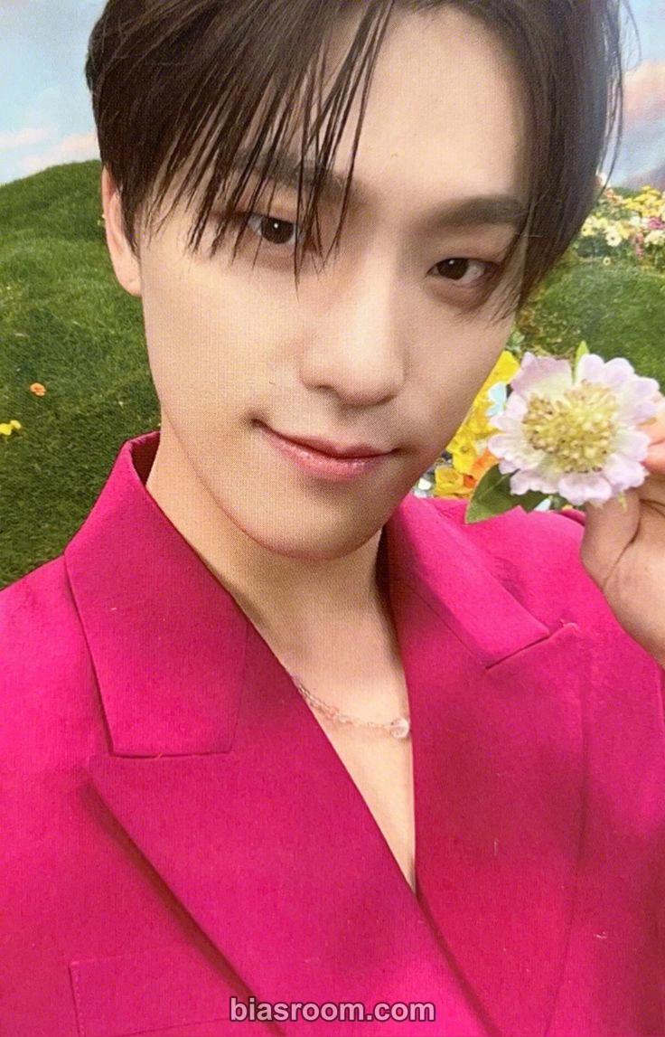 Dino SECTOR 17 Photocard - SEVENTEEN - SEVENTEEN K-pop photocard