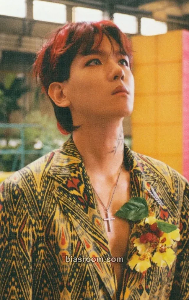 Baekhyun - The War (Private Ver.)