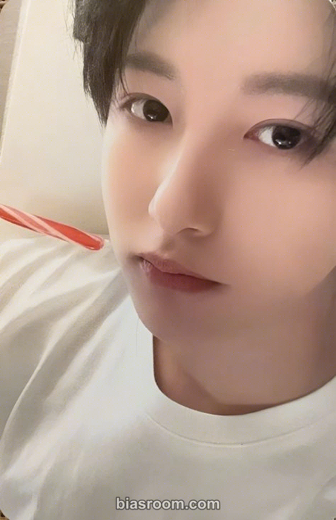Renjun Pink Christmas 2023 Photocard - NCT - NCT K-pop photocard