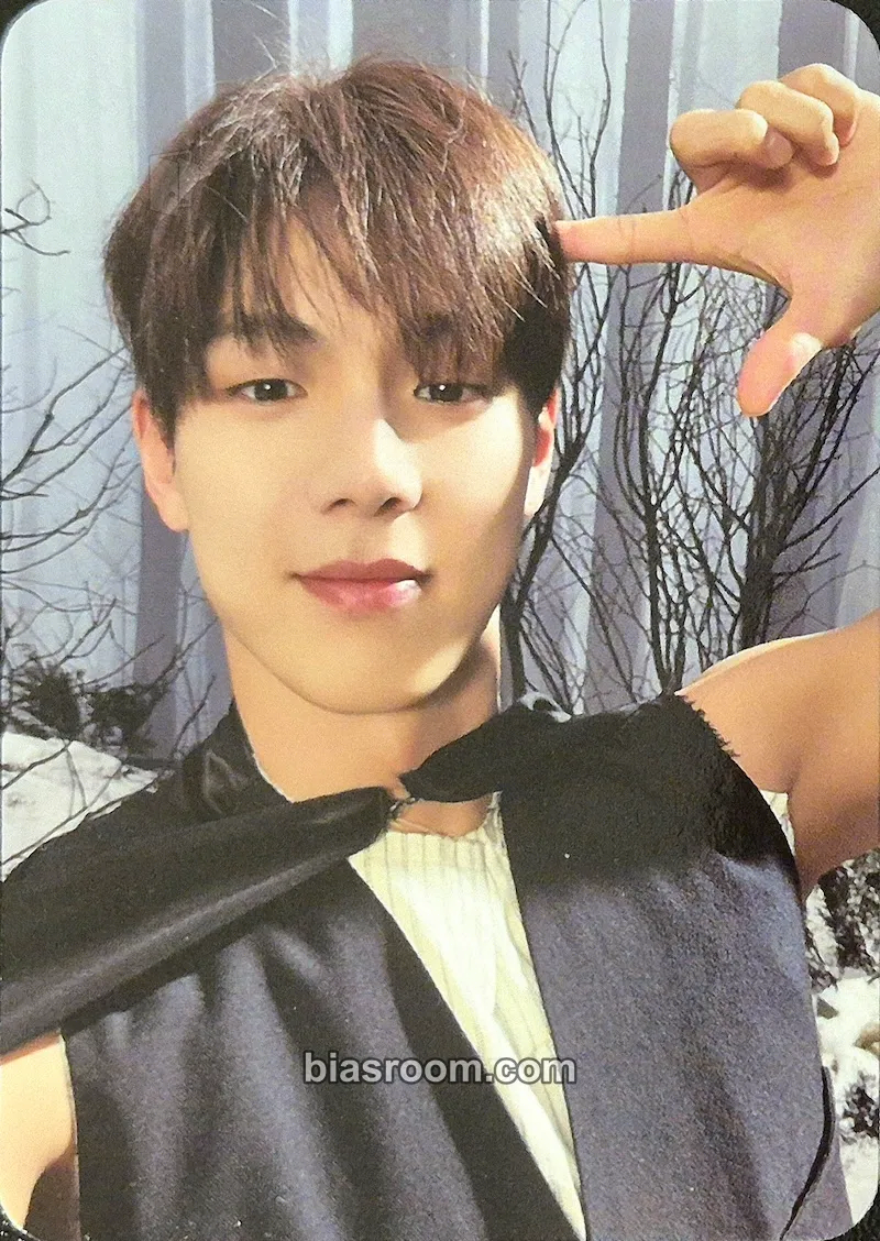 Shownu THE X Photocard - MONSTA X - MONSTA X K-pop photocard