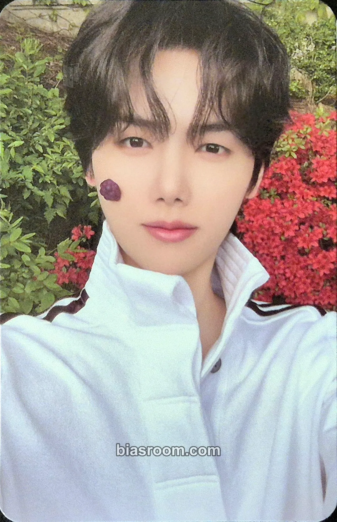 Minhee Dare to Crave Photocard - CRAVITY - CRAVITY K-pop photocard