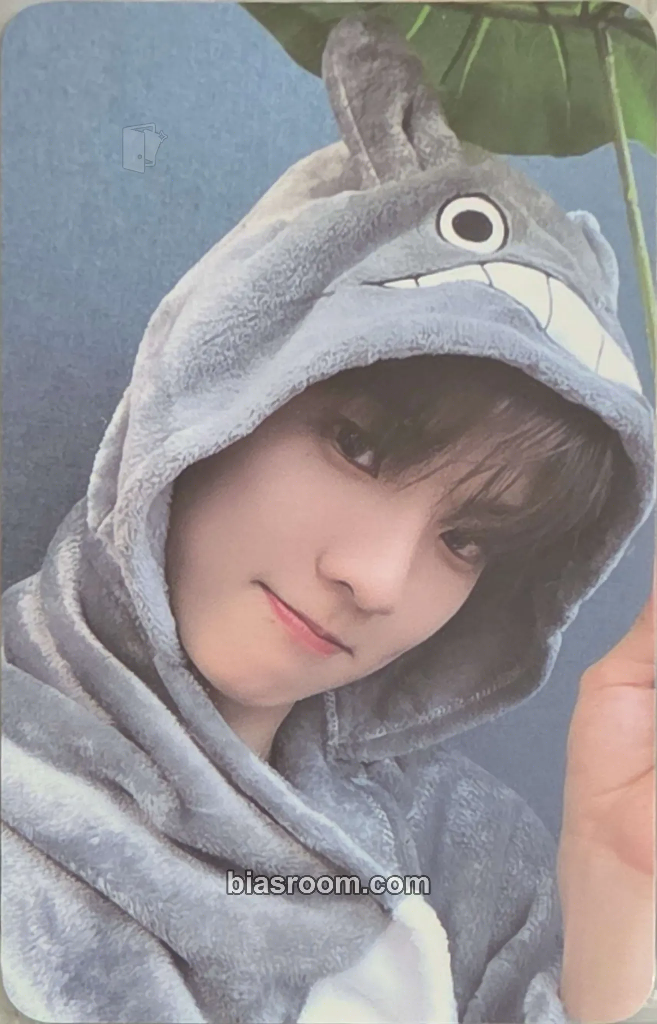 Q Phantasy Pt. 1: Christmas in August Photocard - THE BOYZ - THE BOYZ K-pop photocard