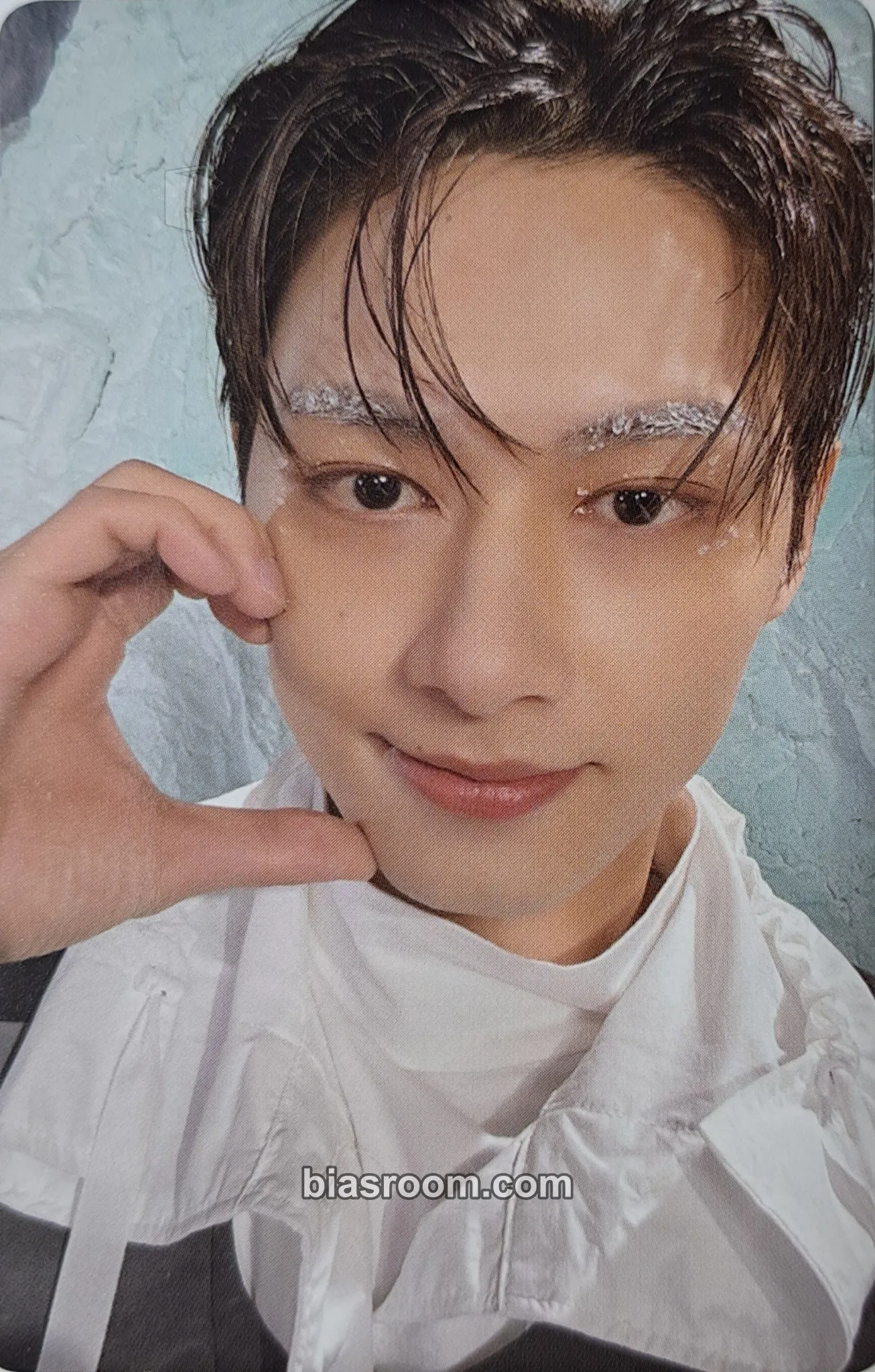 Jun SECTOR 17 Photocard - SEVENTEEN | Bias Room