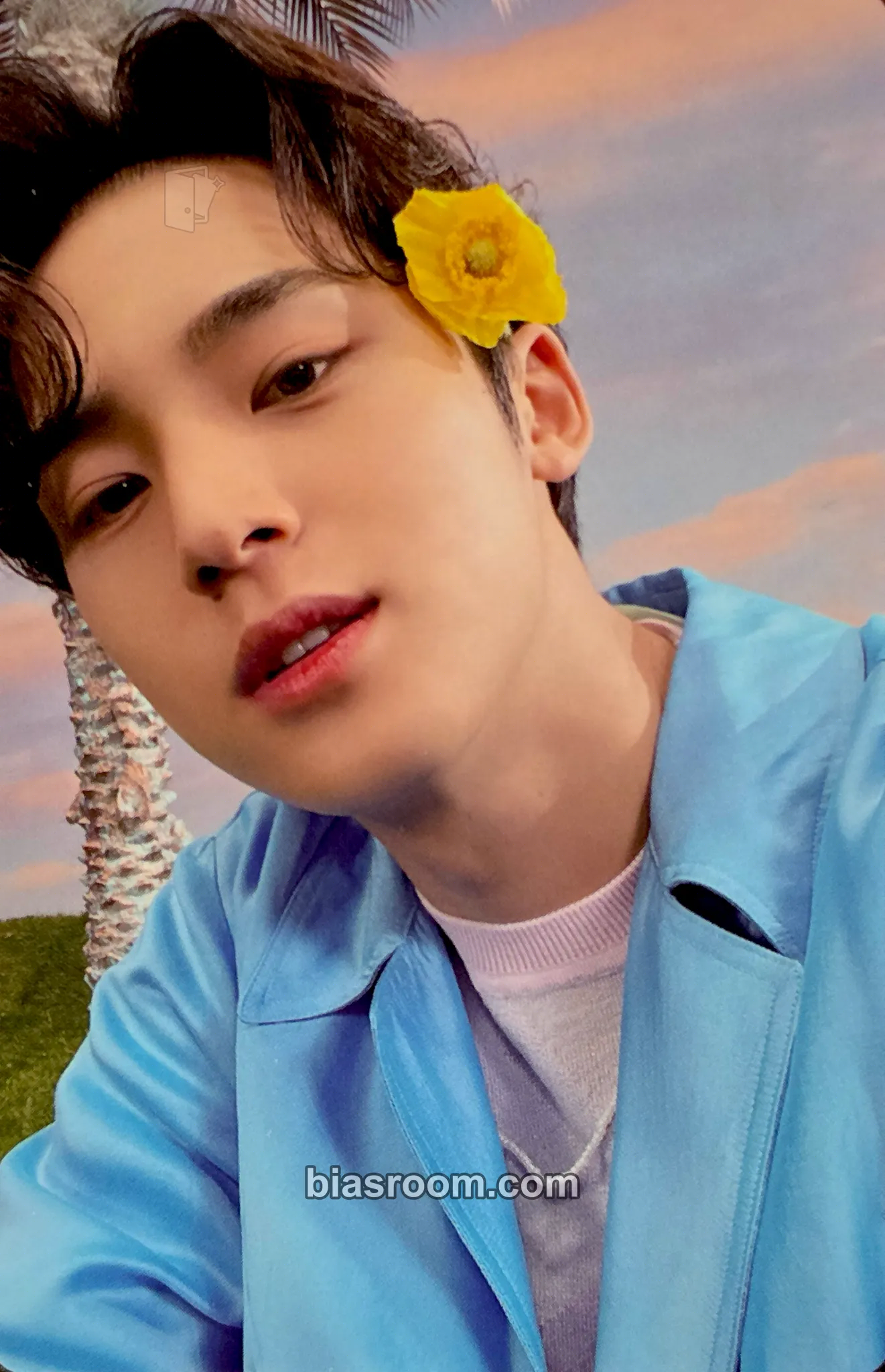 Mingyu SECTOR 17 Photocard - SEVENTEEN - SEVENTEEN K-pop photocard