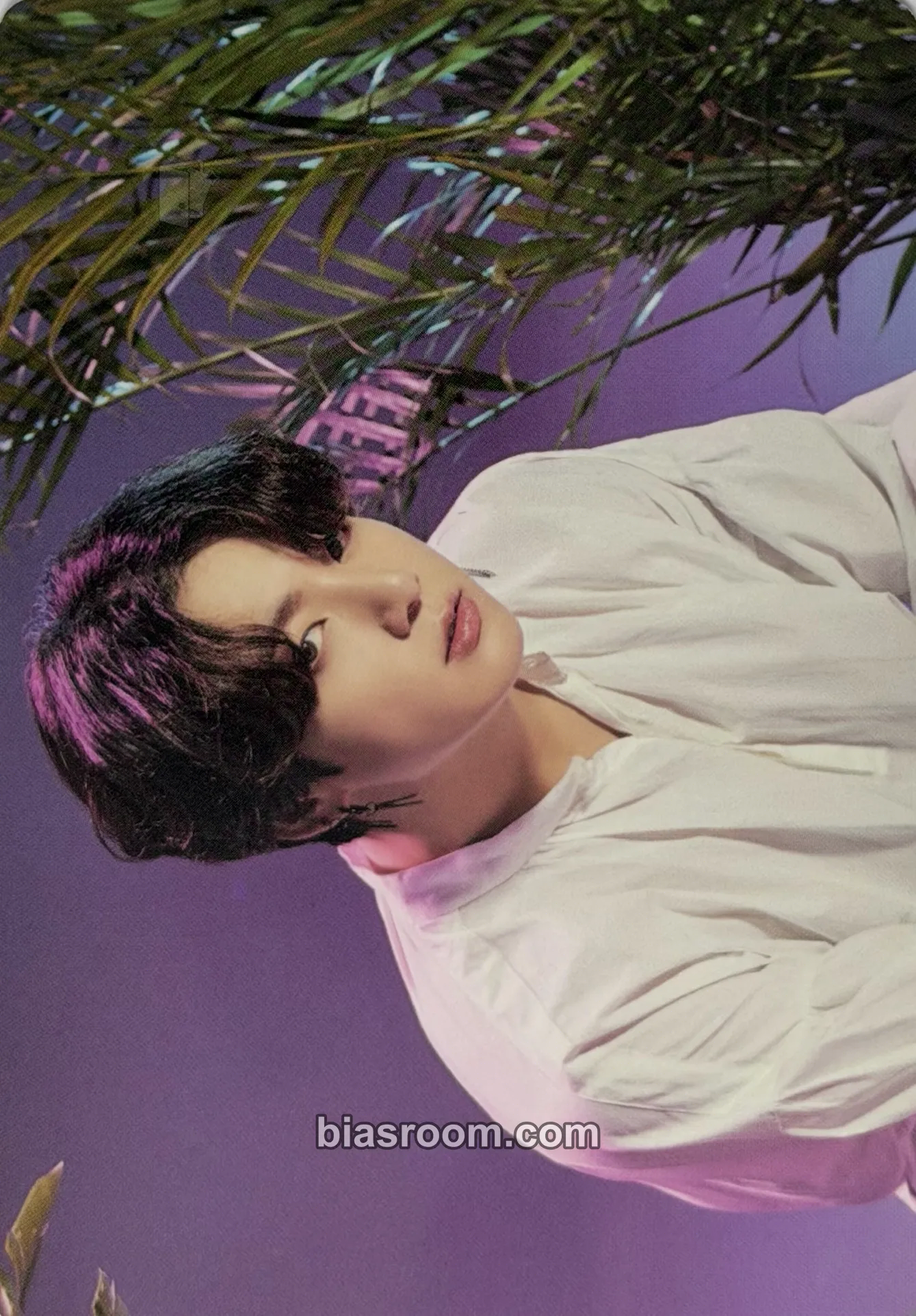 Jungkook Japan Official Fanmeeting Vol.5 - Magic Shop Photocard - BTS - BTS K-pop photocard