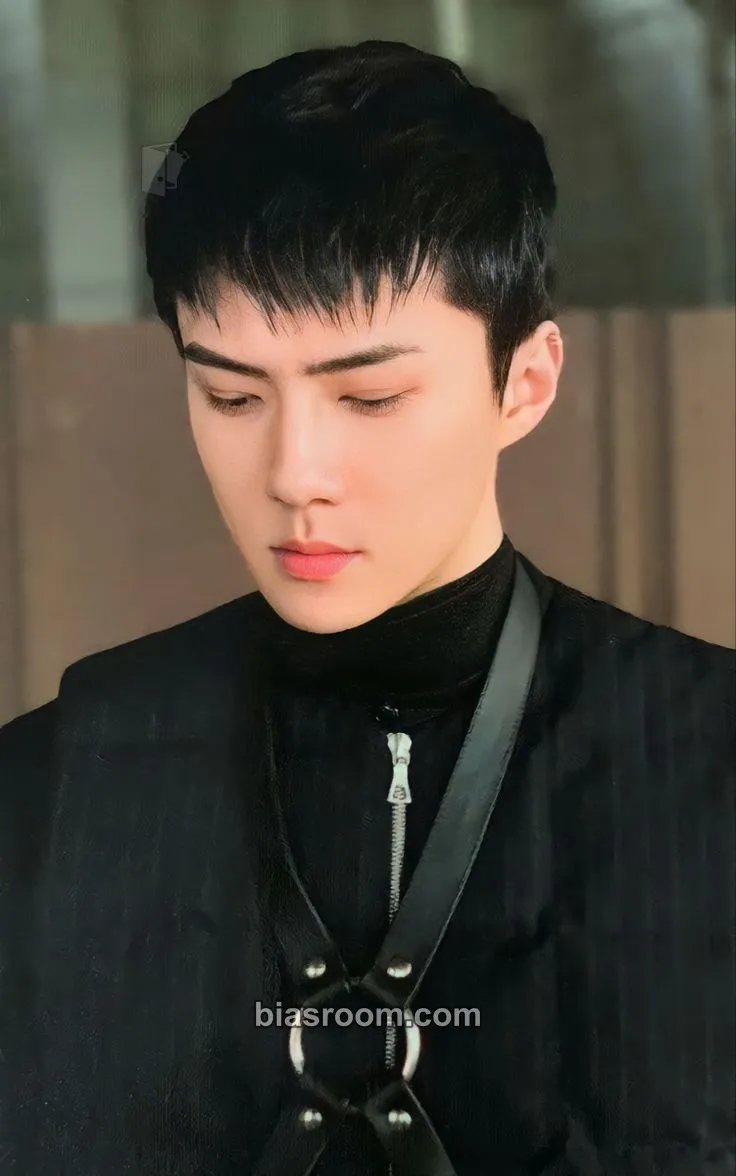 Sehun Obsession Photocard - EXO - EXO K-pop photocard