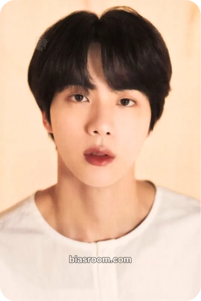 Jin Love Yourself World Tour Photocard - BTS - BTS K-pop photocard