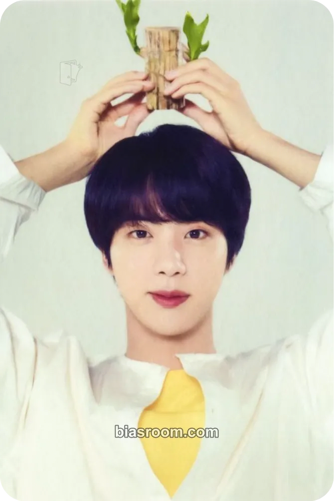 Jin Love Yourself World Tour Photocard - BTS - BTS K-pop photocard