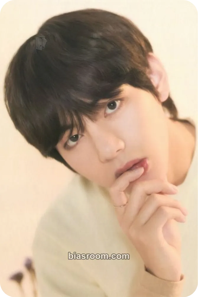 V Love Yourself World Tour Photocard - BTS - BTS K-pop photocard